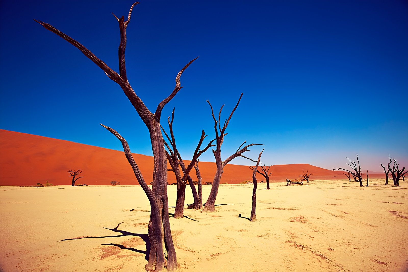 Despite appearances, this is planet Earth…